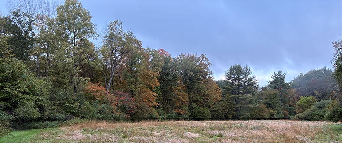 IMG_8949_50
