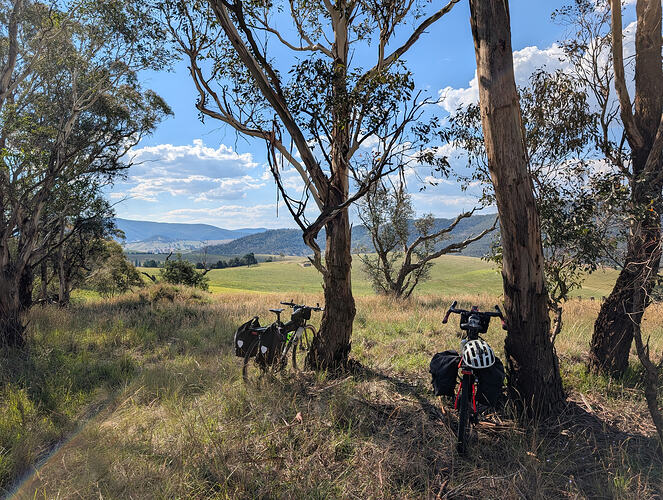 PXL_20260107_055331947