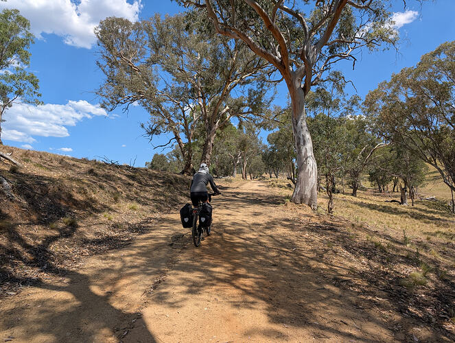 PXL_20260108_035558223