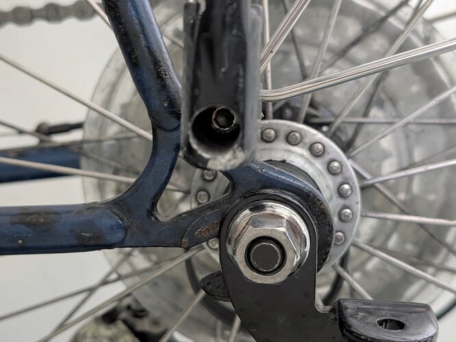 PXL_20260220_183335371.NIGHT