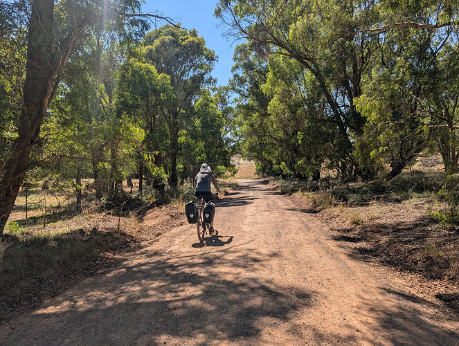 PXL_20260108_233001620