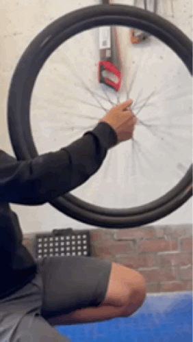 trim.7B0E7700-914B-450C-B99A-41838A3E7122