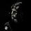 Lachlan_McNeil