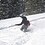 Logan_Sholar