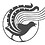 Lyrebird_Cycles_Mark_Kelly